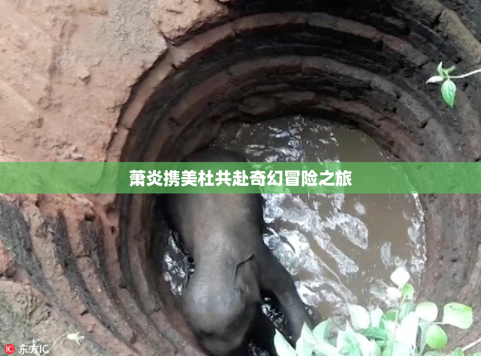 萧炎携美杜共赴奇幻冒险之旅