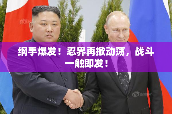 纲手爆发！忍界再掀动荡，战斗一触即发！