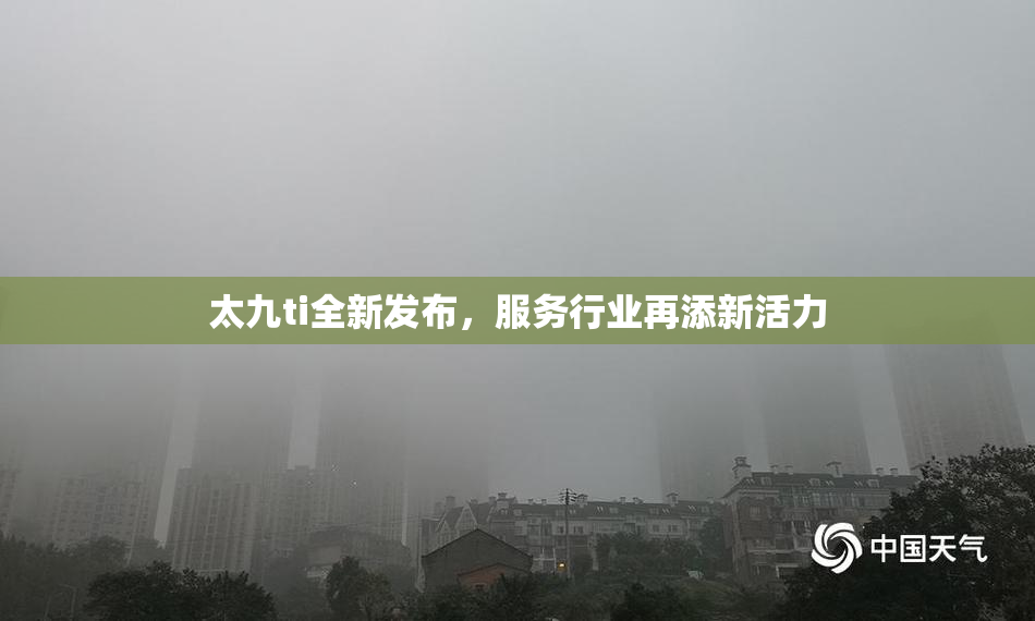 太九ti全新发布，服务行业再添新活力