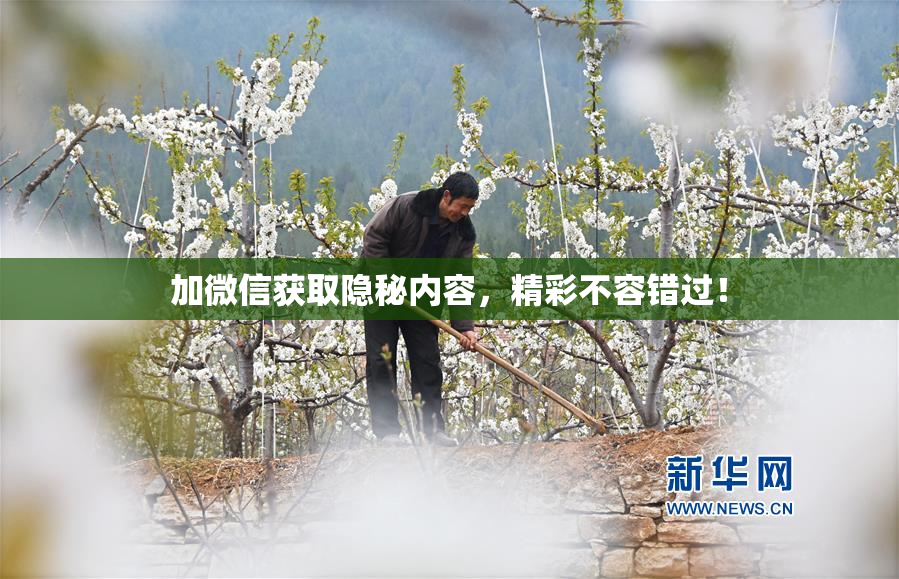 加微信获取隐秘内容，精彩不容错过！