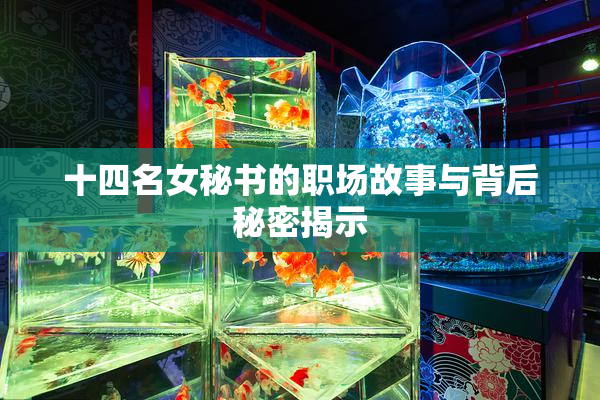 十四名女秘书的职场故事与背后秘密揭示