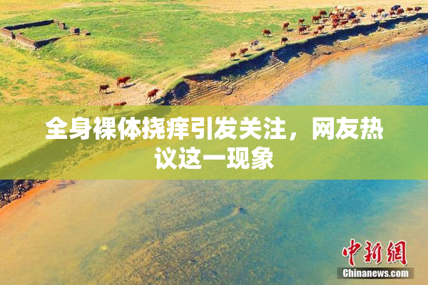 全身裸体挠痒引发关注，网友热议这一现象