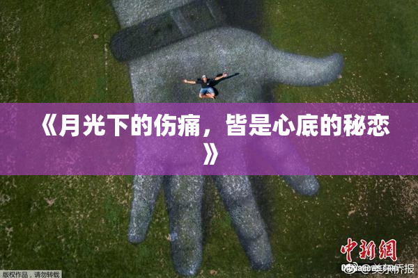 《月光下的伤痛，皆是心底的秘恋》
