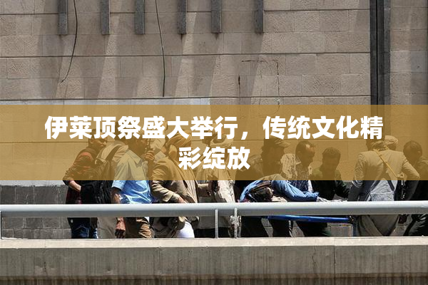 伊莱顶祭盛大举行，传统文化精彩绽放