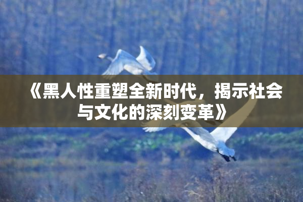 《黑人性重塑全新时代，揭示社会与文化的深刻变革》