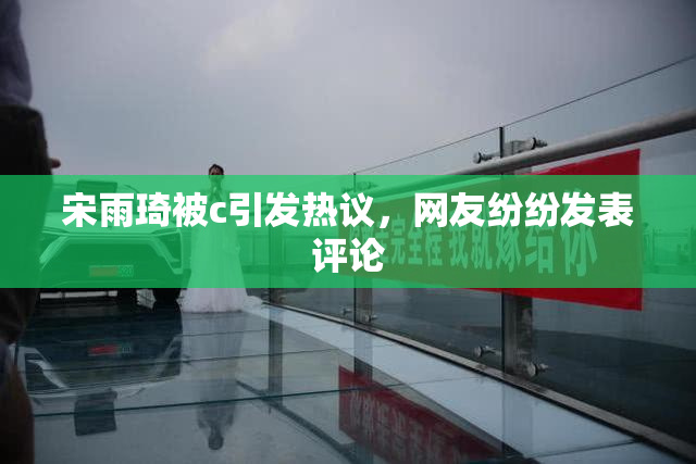 宋雨琦被c引发热议，网友纷纷发表评论