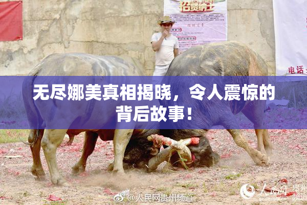 无尽娜美真相揭晓，令人震惊的背后故事！