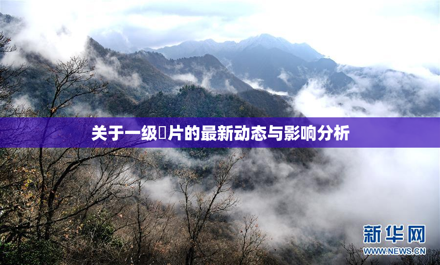 关于一级婬片的最新动态与影响分析