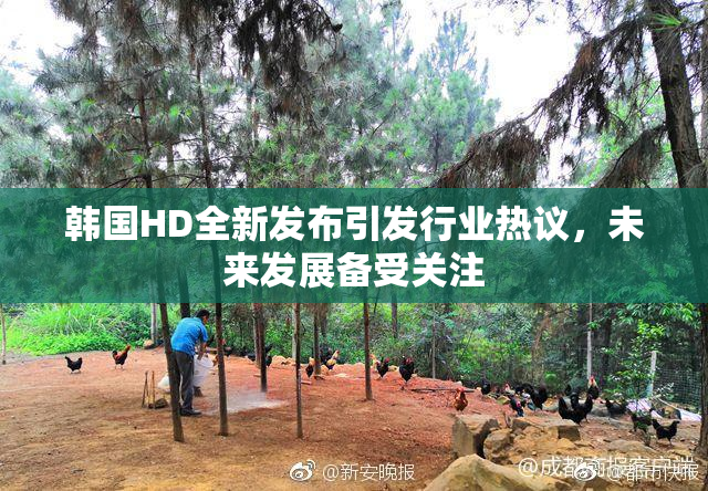 韩国HD全新发布引发行业热议，未来发展备受关注