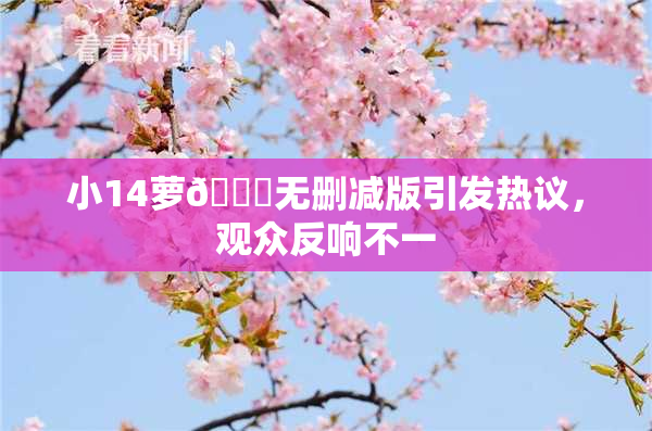 小14萝🔞无删减版引发热议，观众反响不一