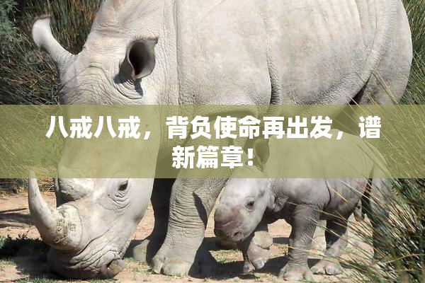 八戒八戒，背负使命再出发，谱新篇章！
