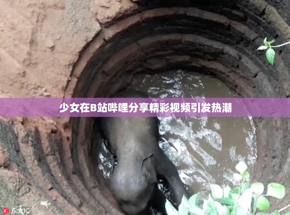 少女在B站哔哩分享精彩视频引发热潮