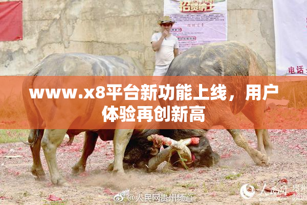 www.x8平台新功能上线，用户体验再创新高