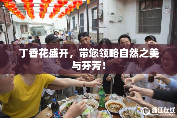 丁香花盛开，带您领略自然之美与芬芳！