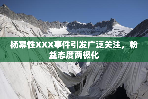 杨幂性XXX事件引发广泛关注，粉丝态度两极化