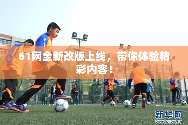 61网全新改版上线，带你体验精彩内容！