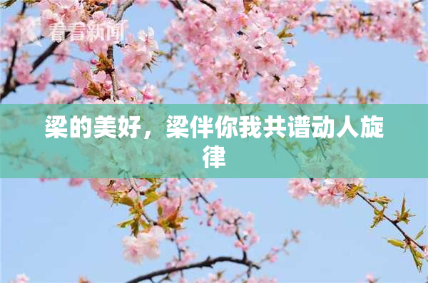 梁的美好，梁伴你我共谱动人旋律