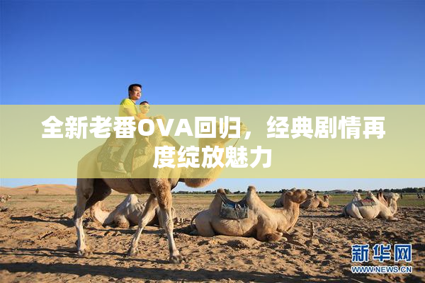 全新老番OVA回归，经典剧情再度绽放魅力