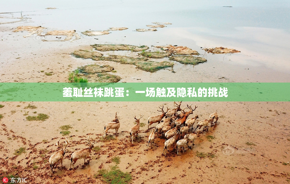 羞耻丝袜跳蛋：一场触及隐私的挑战