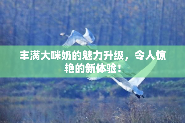 丰满大咪奶的魅力升级，令人惊艳的新体验！