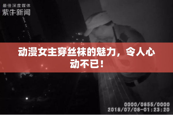 动漫女主穿丝袜的魅力，令人心动不已！