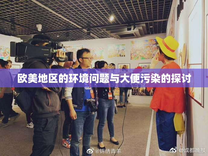 欧美地区的环境问题与大便污染的探讨