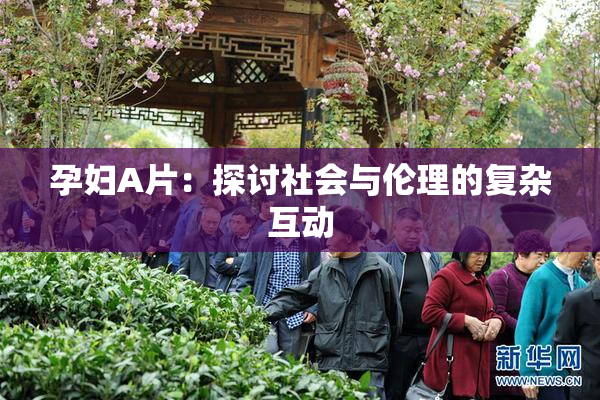 孕妇A片：探讨社会与伦理的复杂互动