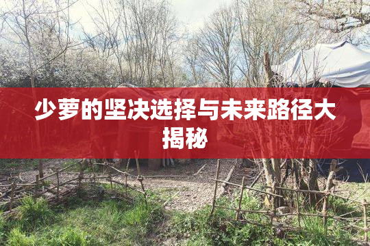少萝的坚决选择与未来路径大揭秘
