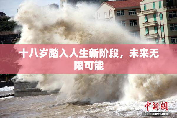 十八岁踏入人生新阶段，未来无限可能