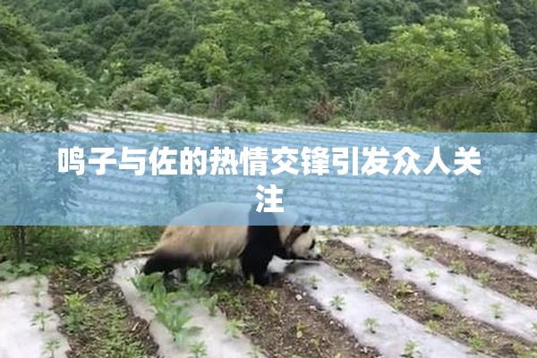 鸣子与佐的热情交锋引发众人关注