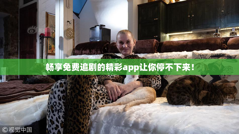 畅享免费追剧的精彩app让你停不下来！