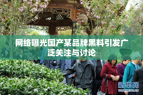 网络曝光国产某品牌黑料引发广泛关注与讨论