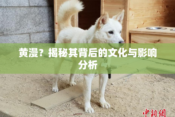黄漫？揭秘其背后的文化与影响分析