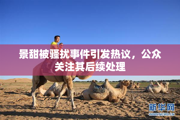 景甜被骚扰事件引发热议，公众关注其后续处理