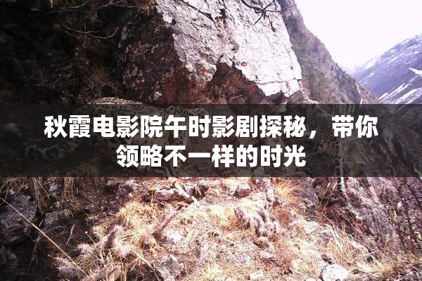 秋霞电影院午时影剧探秘，带你领略不一样的时光