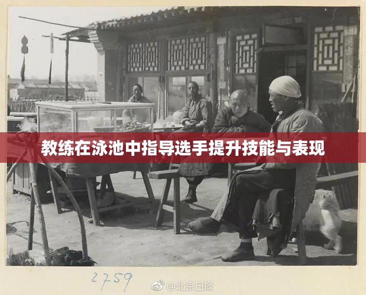 教练在泳池中指导选手提升技能与表现
