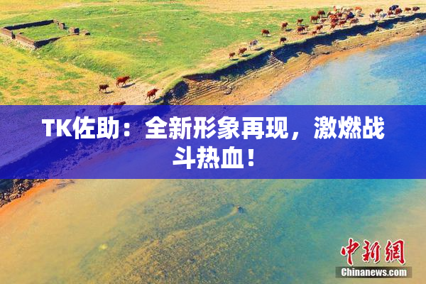 TK佐助：全新形象再现，激燃战斗热血！