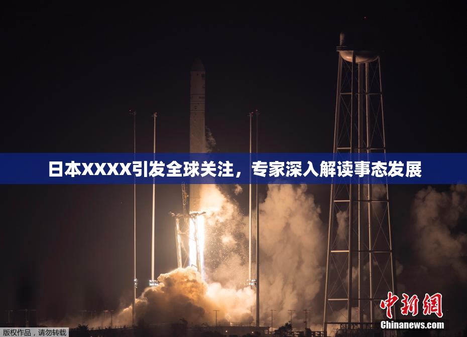 日本XXXX引发全球关注，专家深入解读事态发展