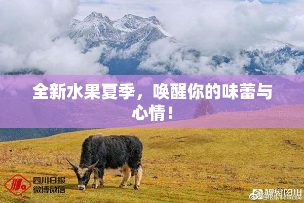 全新水果夏季，唤醒你的味蕾与心情！