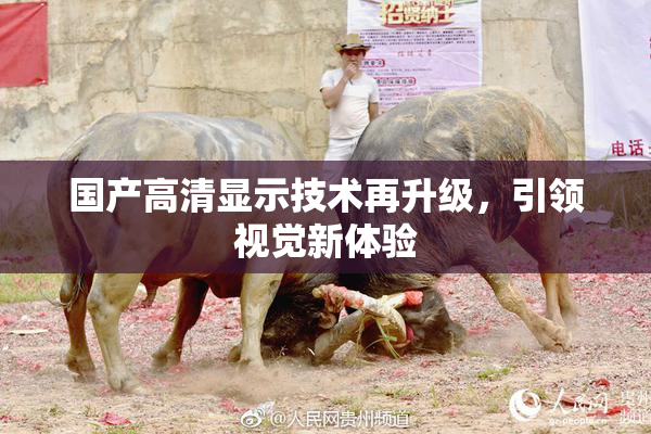 国产高清显示技术再升级，引领视觉新体验
