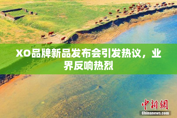 XO品牌新品发布会引发热议，业界反响热烈