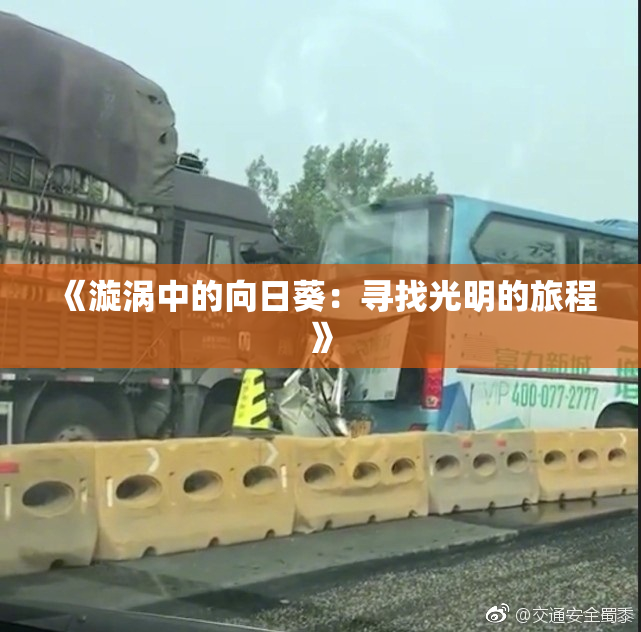 《漩涡中的向日葵：寻找光明的旅程》