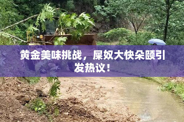 黄金美味挑战，屎奴大快朵颐引发热议！