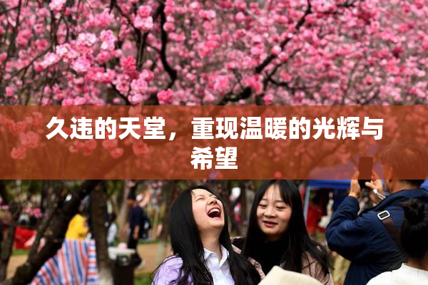 久违的天堂，重现温暖的光辉与希望