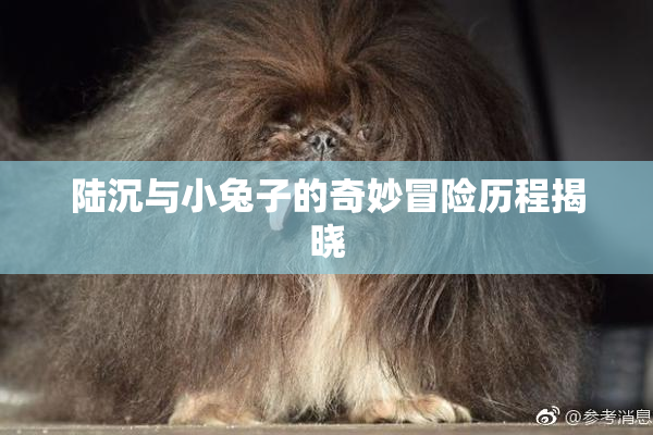 陆沉与小兔子的奇妙冒险历程揭晓
