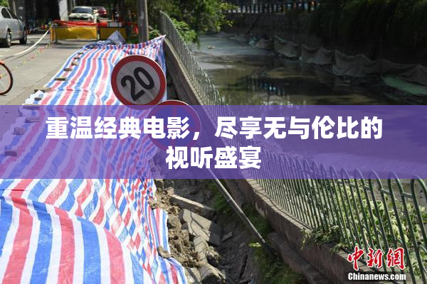 重温经典电影，尽享无与伦比的视听盛宴