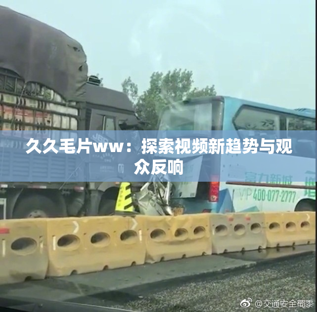 久久毛片ww：探索视频新趋势与观众反响