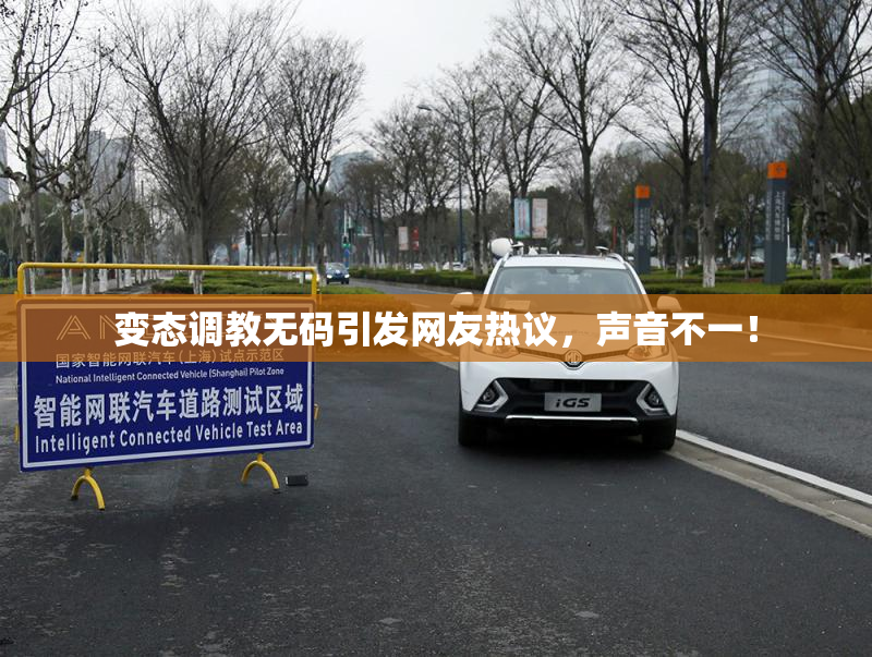 变态调教无码引发网友热议，声音不一！