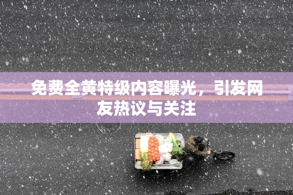 免费全黄特级内容曝光，引发网友热议与关注