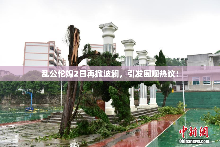 乱公伦媳2日再掀波澜，引发围观热议！
